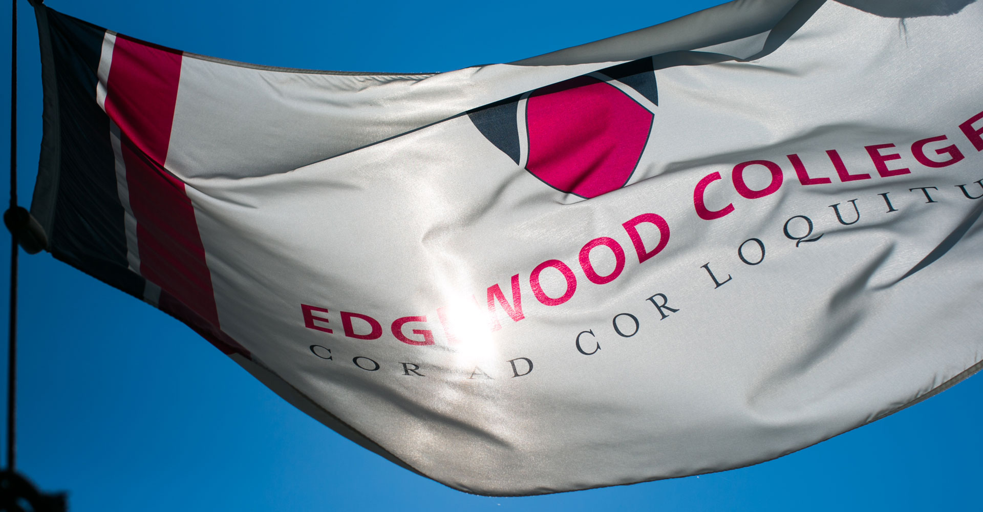 Edgewood College Flag