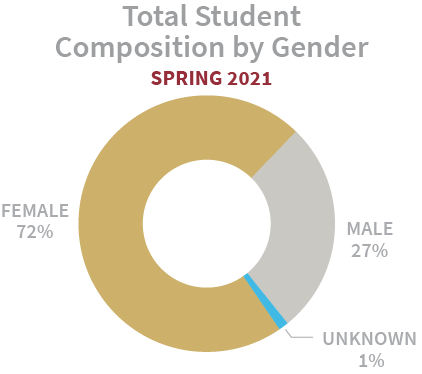 Student Composition by Gender 2018 - 73% Female, 27% Male