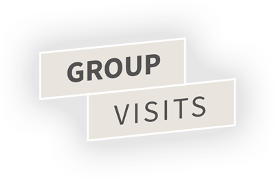 Group visits