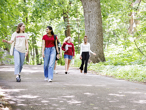 Students walking on the path
