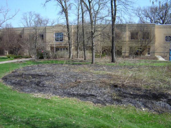 effigy mound