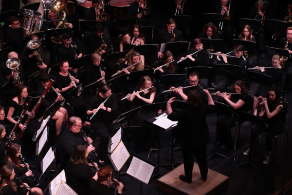 a group of people in a orchestra