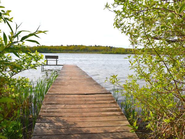 lake wingra dock
