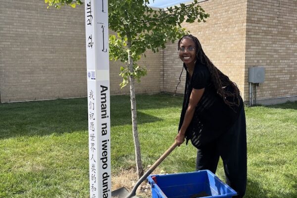 woman planting tree