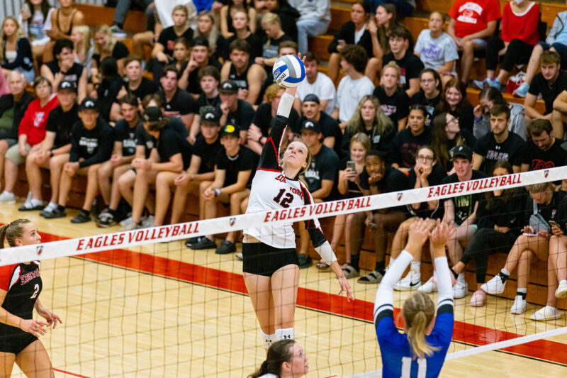 Edgewood volleyball players